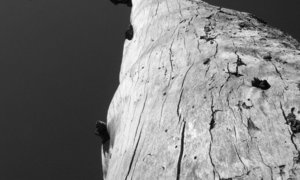 Fotografieklub se laastes